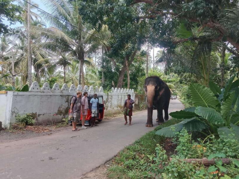 City Tour: Discover Aluthgama with Thrilling Adventures - The Sum Up: Is This Tour Worth It?