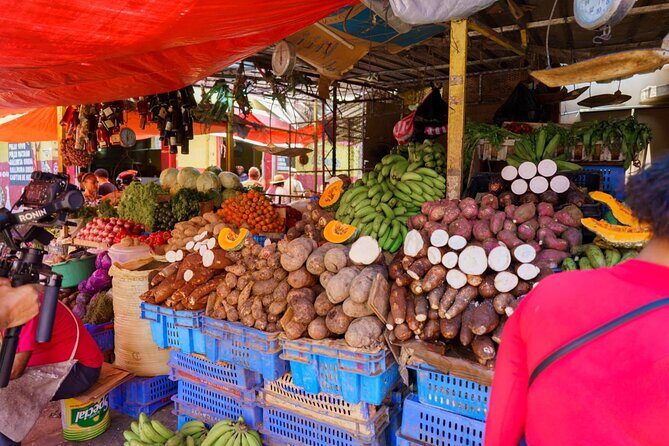 City Tour & Half-Day Safari Experiences - Why We Think This Tour Offers Great Value