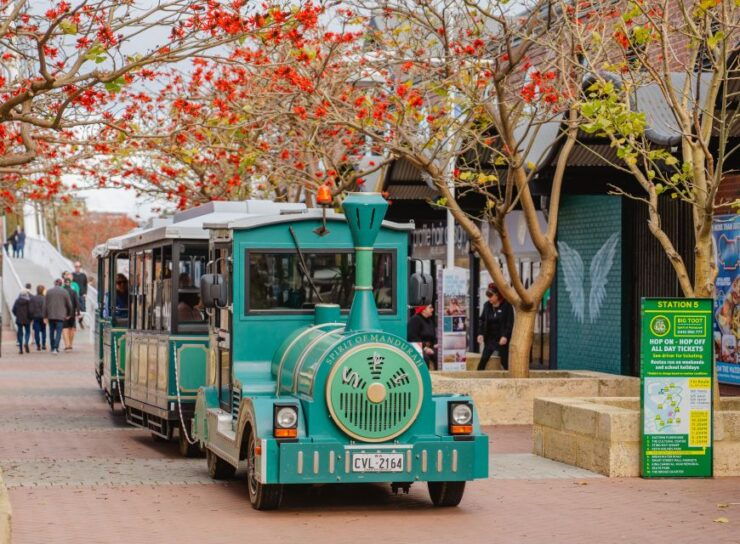 City Tour Hop-On Hop-Off All-Day - Booking Information