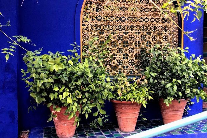 City Tour in Marrakech, Book Your Guide With Us. - The Sum Up