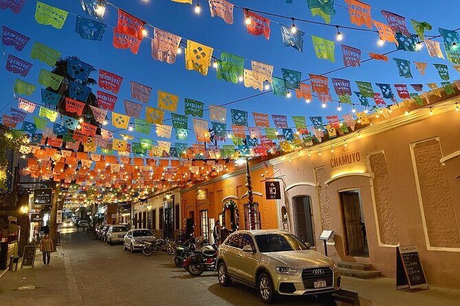 City Tour in San Jose del Cabo & Cabo San Lucas - Good To Know