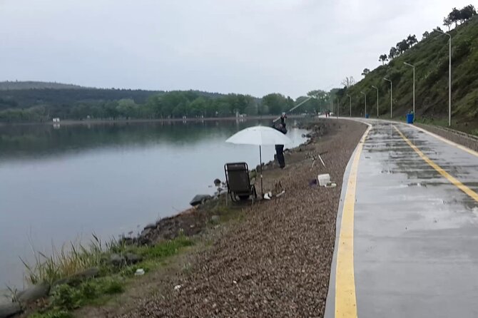 City Tour in Tbilisi by Car - Safety Guidelines