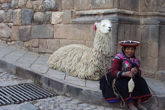 City Tour of Cusco: Private Half Day - Overview of Cusco City Tour