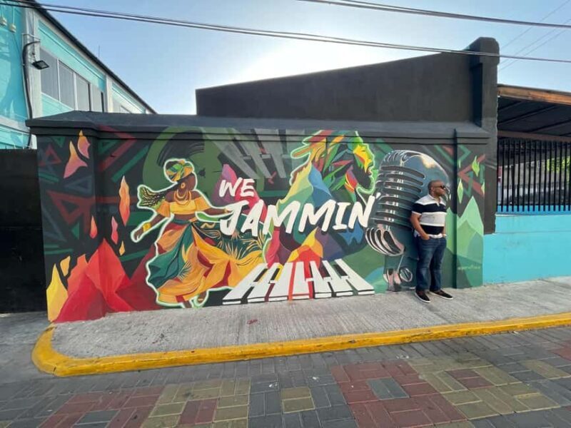 City Tour of Kingston Including Entry Fees - Introduction: Why Choose the Kingston City Tour?