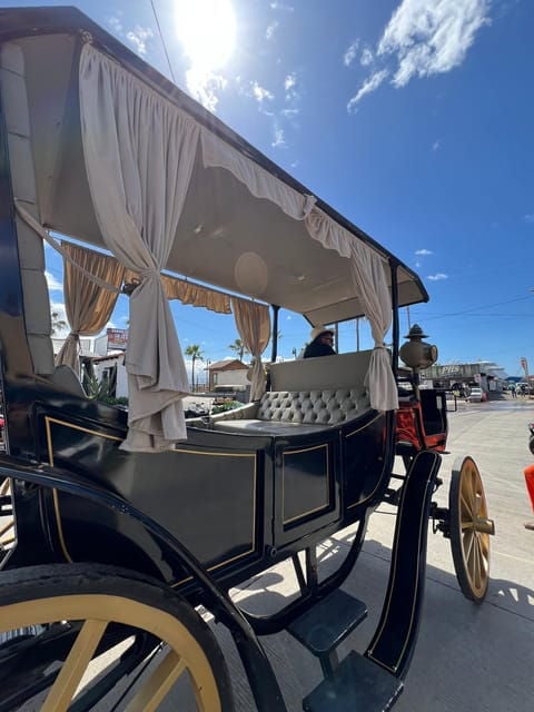 City Tour on Electric Horse Wagon. - Good To Know