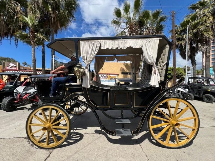 City Tour on Electric Horse Wagon. - Booking and Cancellation