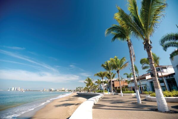 City Tour Puerto Vallarta - Churches, Tequila Test and More - Municipal Market of Crafts and Souvenirs