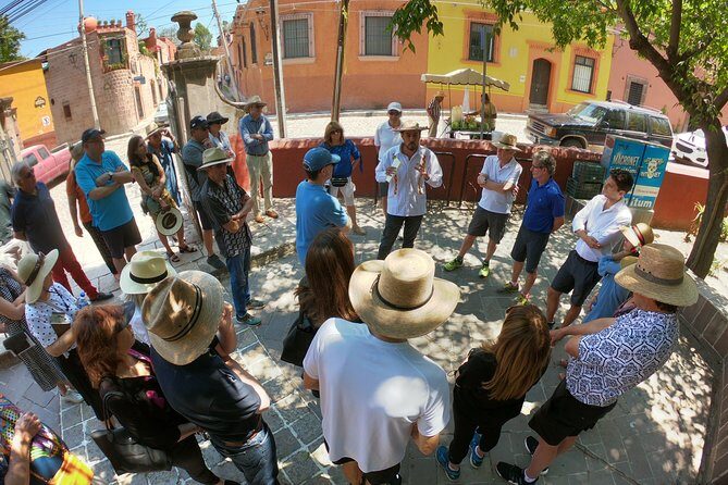 City tour San Miguel Allende - Who Is This Tour Perfect For?