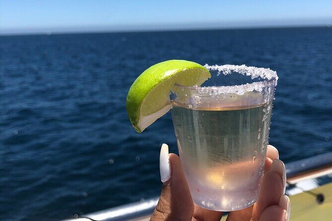 City Tour, Tequila tasting, Sunset Cruise & Dinner in Cabo San Lucas - Final Thoughts