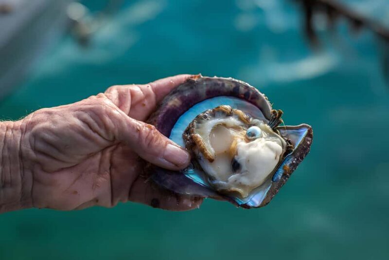 City Tour to Cabo San Lucas and Transparent boat to the Arch - A Closer Look at What to Expect