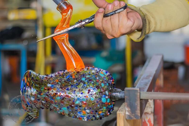 City Tour to Cabo San Lucas and Transparent boat to the Arch - Practical Tips for the Tour