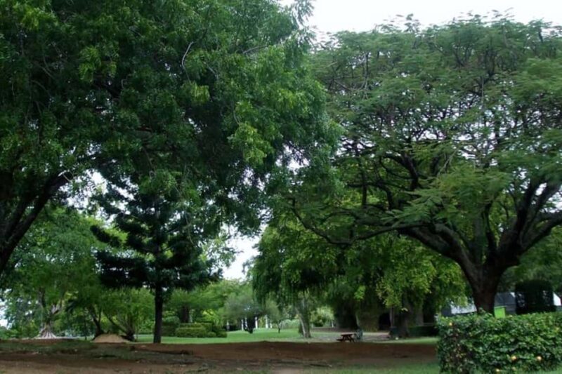 City Tour w/ Gardens, Volcano, Trafalgar Falls, Morne Bruce - Good To Know