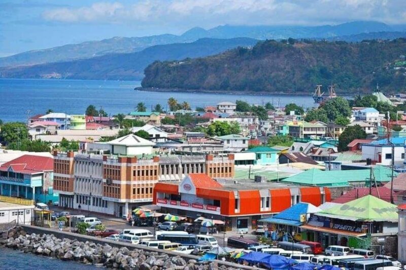 City Tour w/ Gardens, Volcano, Trafalgar Falls, Morne Bruce - Who Will Love This Tour?