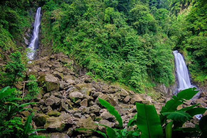 City Tour With Botanical Gardens, Trafalgar Falls & Morne Bruce - Tour Highlights