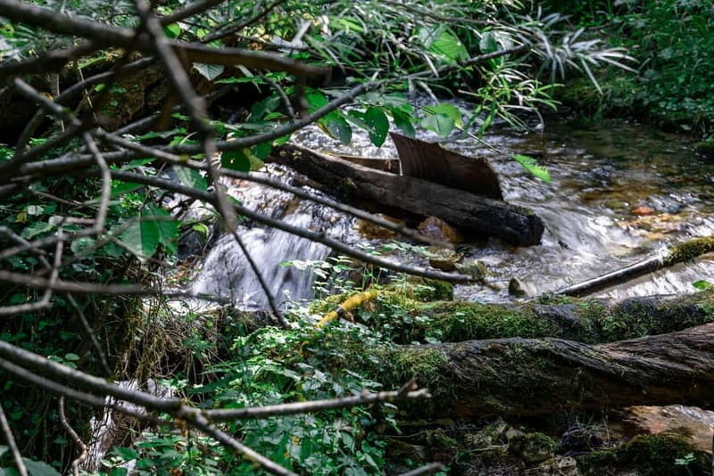 City Trip Struga and Vevchani from Ohrid and Struga - Authentic Experiences and Authenticity