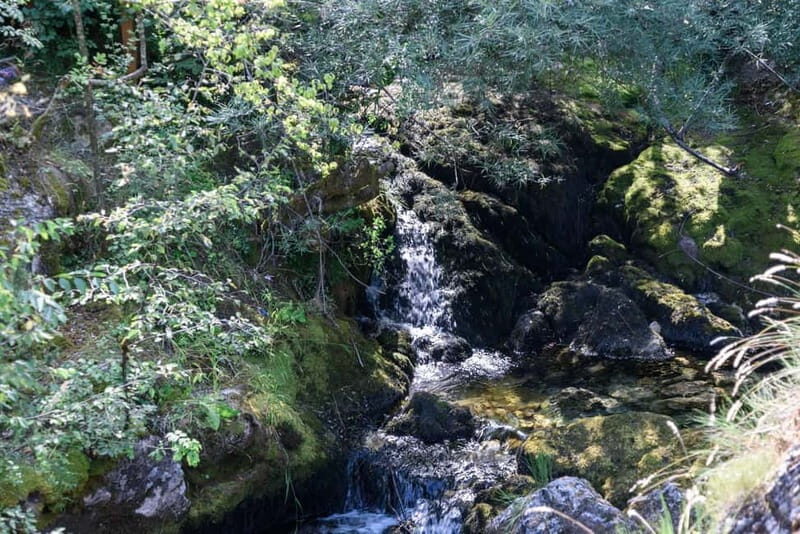 City Trip Struga and Vevchani from Ohrid and Struga - The Sum Up