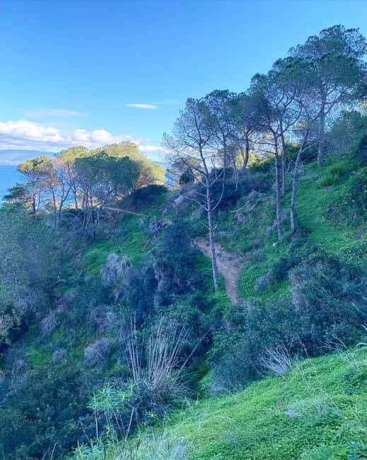 CITYBIKE/ easy Classic FOR 24 hours with Free delivery! - An Introduction to the Experience