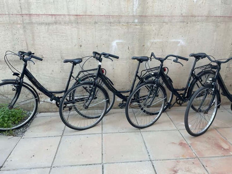 CITYBIKE/ easy Classic FOR 24 hours with Free delivery! - Detailed Breakdown of the Experience