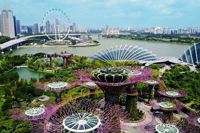 CityExperienceGardens by the Bay(FlowerDome&SuperTree)Transfers - Traveler Photos