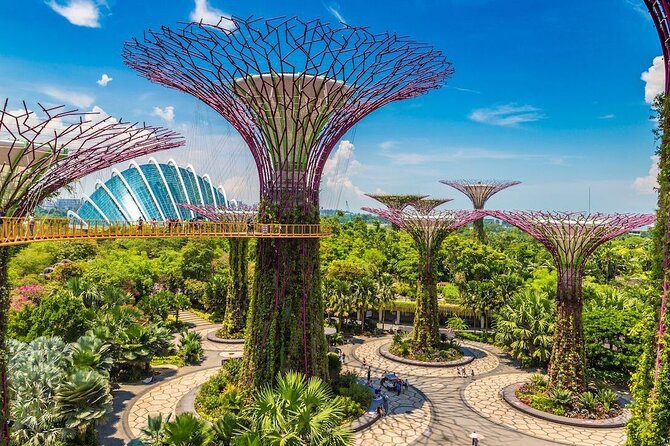 CityExperienceGardens by the Bay(FlowerDome&SuperTree)Transfers - Reviews and Ratings