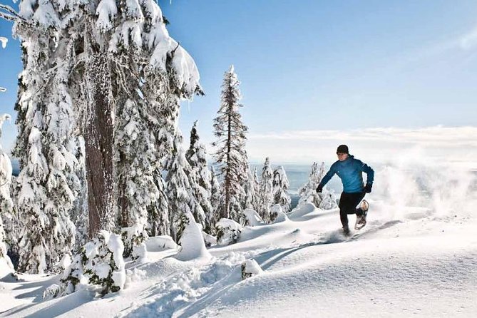 CityPassport Vancouver - Attractions Pass and Destination Guide - Reviews