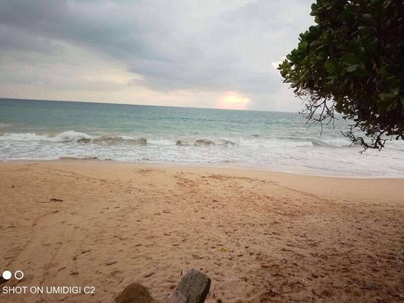 Cityscape Safari: Five Days of Discovery - Transportation and Comfort