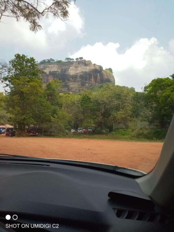 Cityscape Safari: Five Days of Discovery - Accommodation and Meals