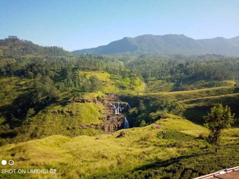 Cityscape Safari: Five Days of Discovery - Practical Tips for Travelers