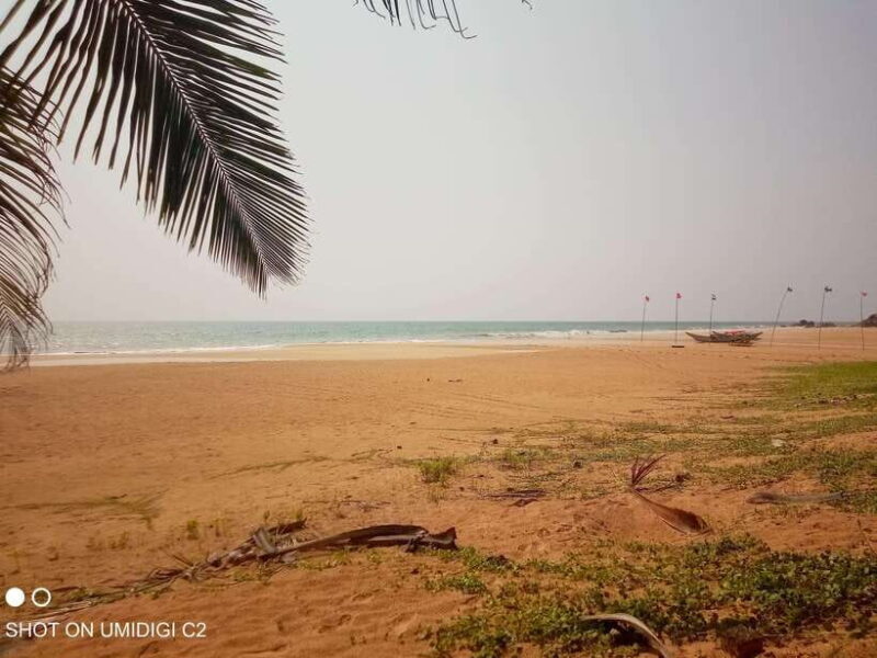 Cityscape Safari: Five Days of Discovery - The Sum Up