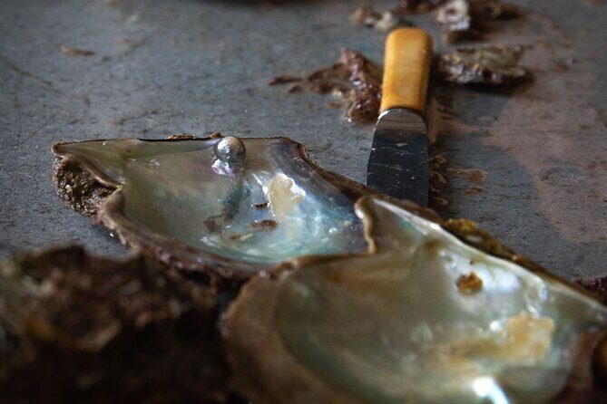 CityTour in Cabo San Lucas and Transparent Boat Tour to the Arch - Introduction: What Makes This Tour Special?
