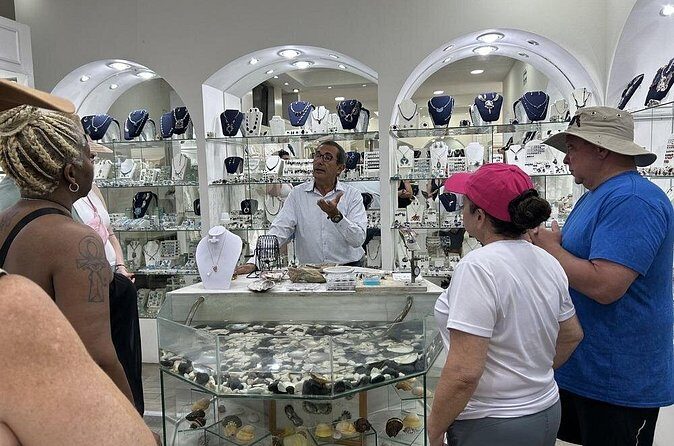 CityTour in Cabo San Lucas and Transparent Boat Tour to the Arch - Practical Tips for the Tour