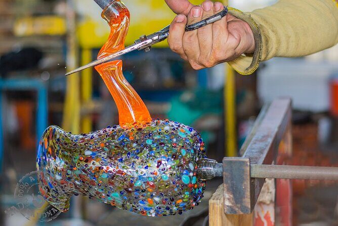 CityTour in Cabo San Lucas and Transparent Boat Tour to the Arch - The Sum Up