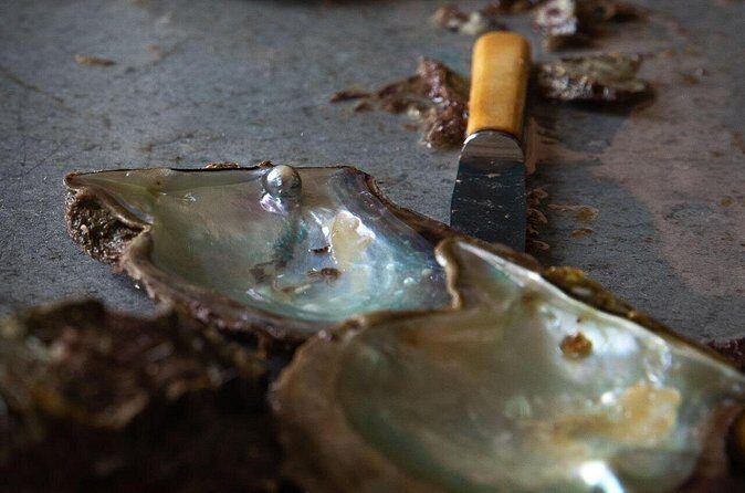 CityTour in Cabo San Lucas and Transparent Boat Tour to the Arch - FAQ