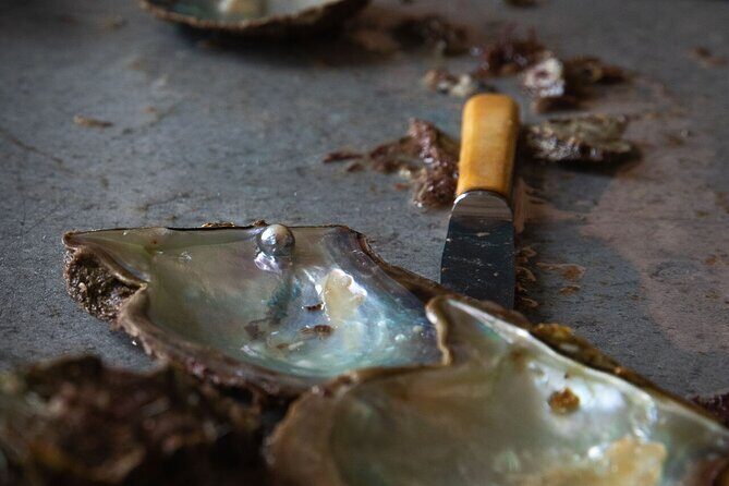 CityTour to San Jose, Cabo San Lucas and Arch Tour in Clearboat - Practical Details That Matter