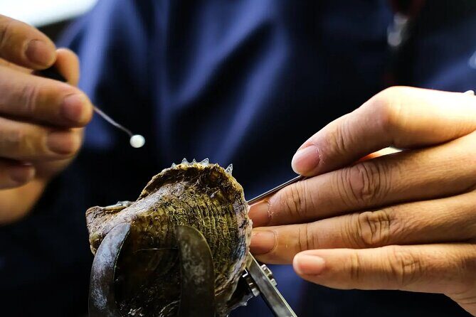 CityTour to San Jose, Cabo San Lucas and Arch Tour in Clearboat - Final Words