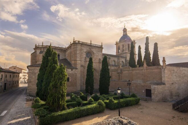 Ciudad Rodrigo: Cathedral of Santa Maria Entry Ticket - Accessibility and Validity Information