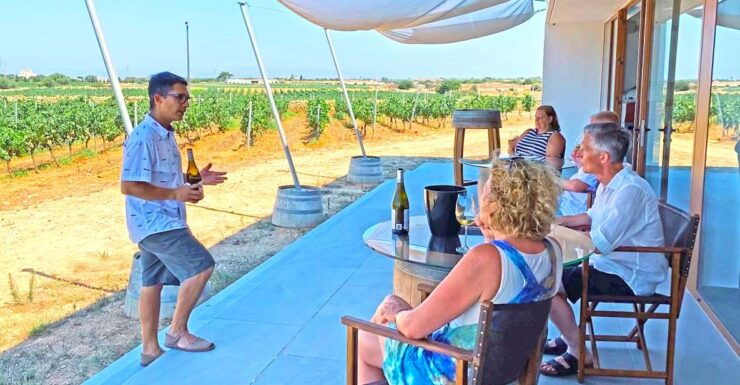 Ciutadella De Menorca: Family Winery Tour With Wine Tasting - Tour Details