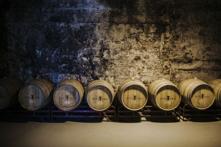 Ciutadella De Menorca: Family Winery Tour With Wine Tasting - Experience Highlights