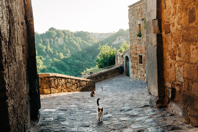 Civita Di Bagnoregio and Orvieto - Private Day Trip From Rome - Pricing and Booking Details