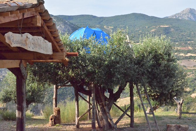 CIVITA EXPERIENCE Borgo Gole Mountain and ... RAPACI Del Pollino - What to Expect