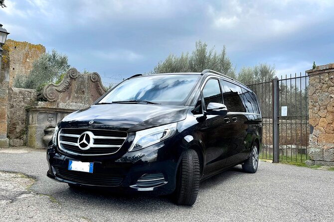 Civitavecchia Cruise Ship Port to Rome Hotel Private Transfer - Cancellation Policy