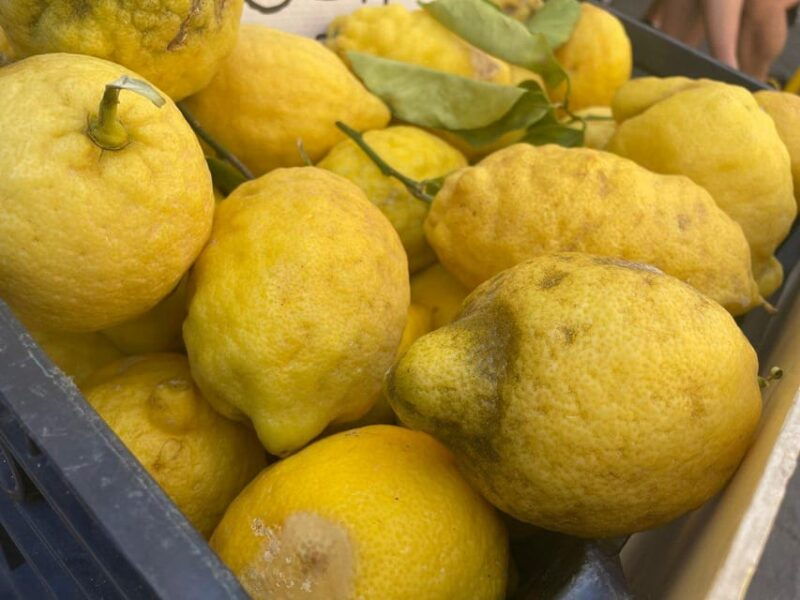 Civitavecchia: Market Tour and Cooking Class with Lunch - Good To Know