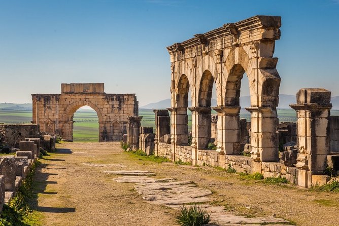 Civitavecchia Port : Ancient Ostia Archaelogical Park & Beach - Inclusions