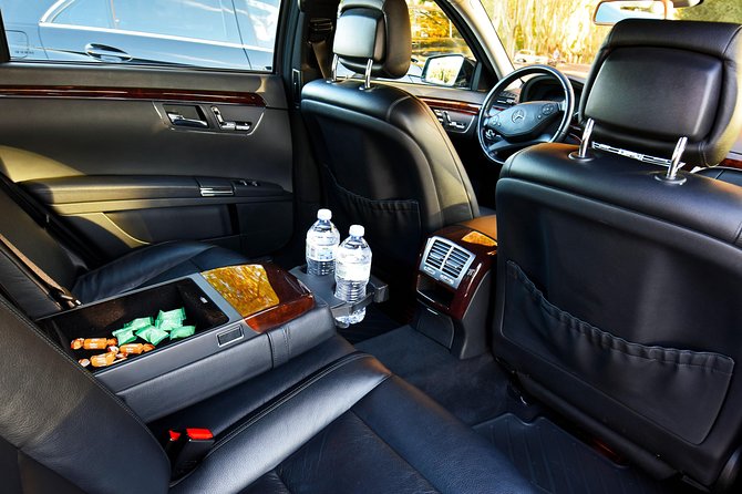 Civitavecchia Private Transfer: Civitavecchia Cruise Port to Central Rome - Customer Reviews