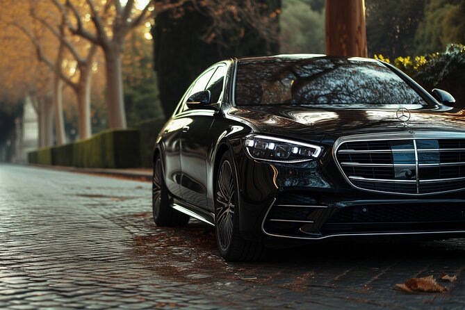 Civitavecchia to Rome and Back - Private Roundtrip Transfer - Customer Reviews