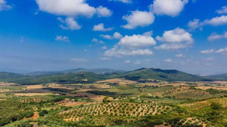 Civitavecchia: Tuscany Full-Day Guided Trip W/Wine Tasting - Good To Know
