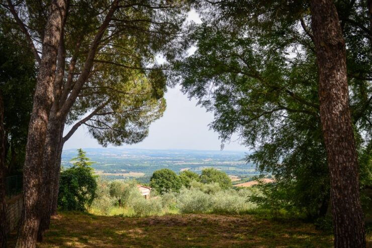 Civitavecchia: Tuscany Full-Day Guided Trip W/Wine Tasting - Good To Know