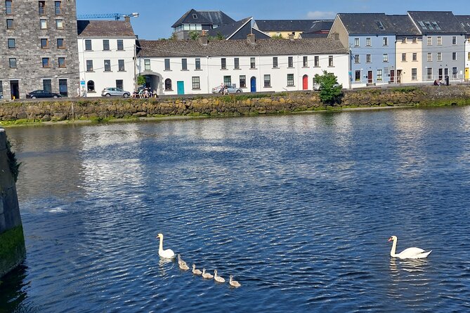 Claddagh Guided Walking Tour in Galway With Free Claddagh Ring - Meeting Point Details