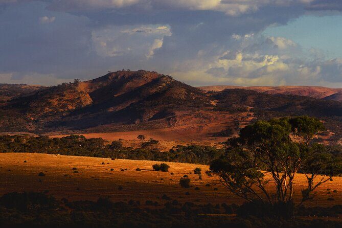 Clare Valley to Red Banks History and Landscape Day Tour - Introducing the Tour Experience