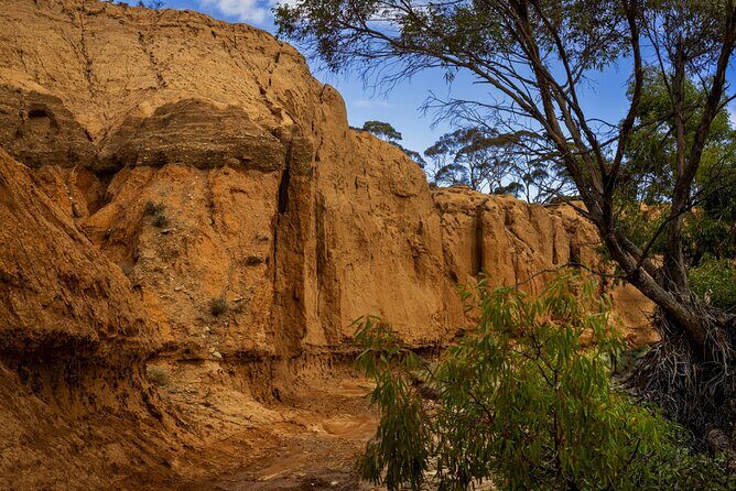 Clare Valley to Red Banks History and Landscape Day Tour - Transportation and Group Experience